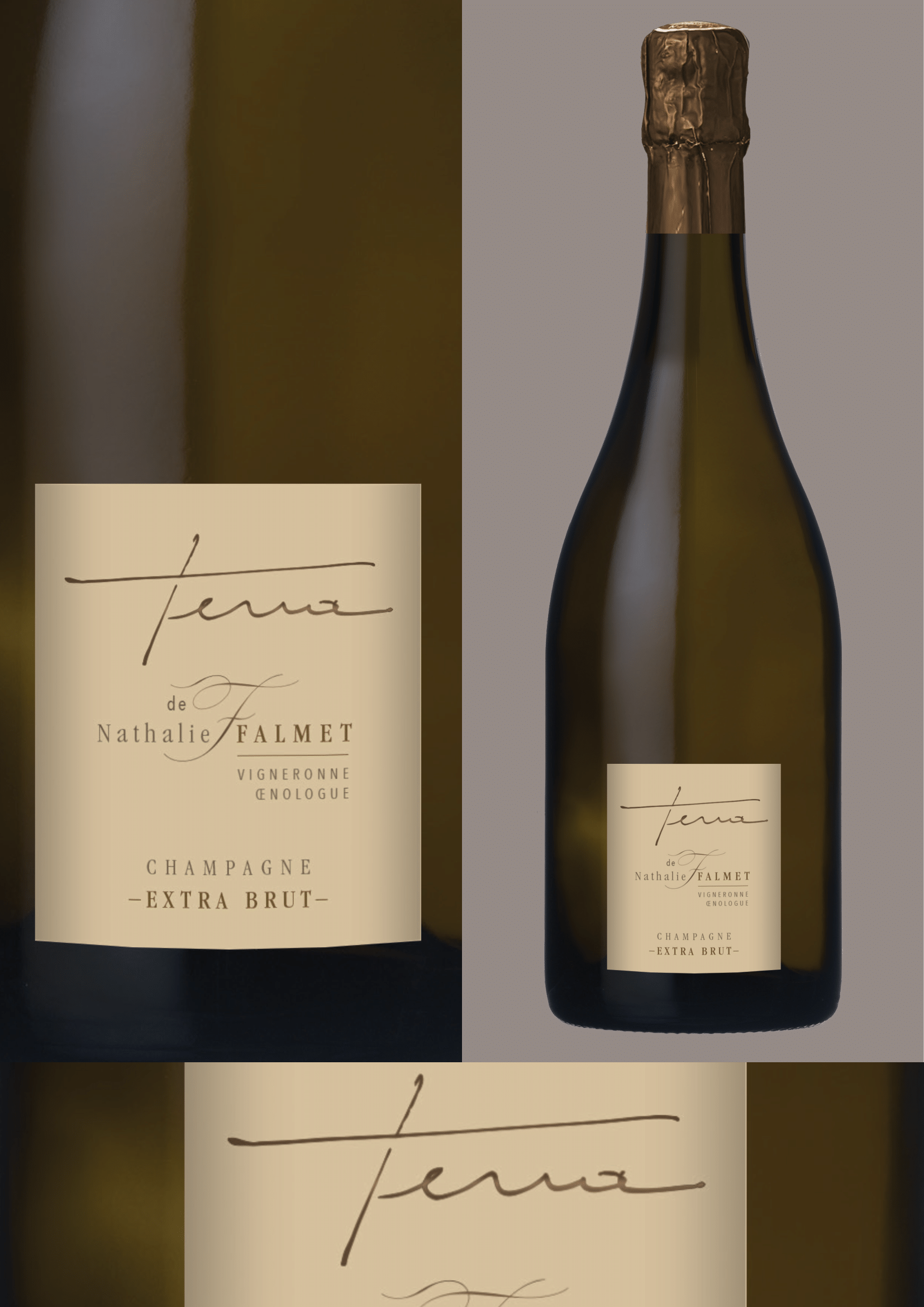 TERRA Amphora Vinification